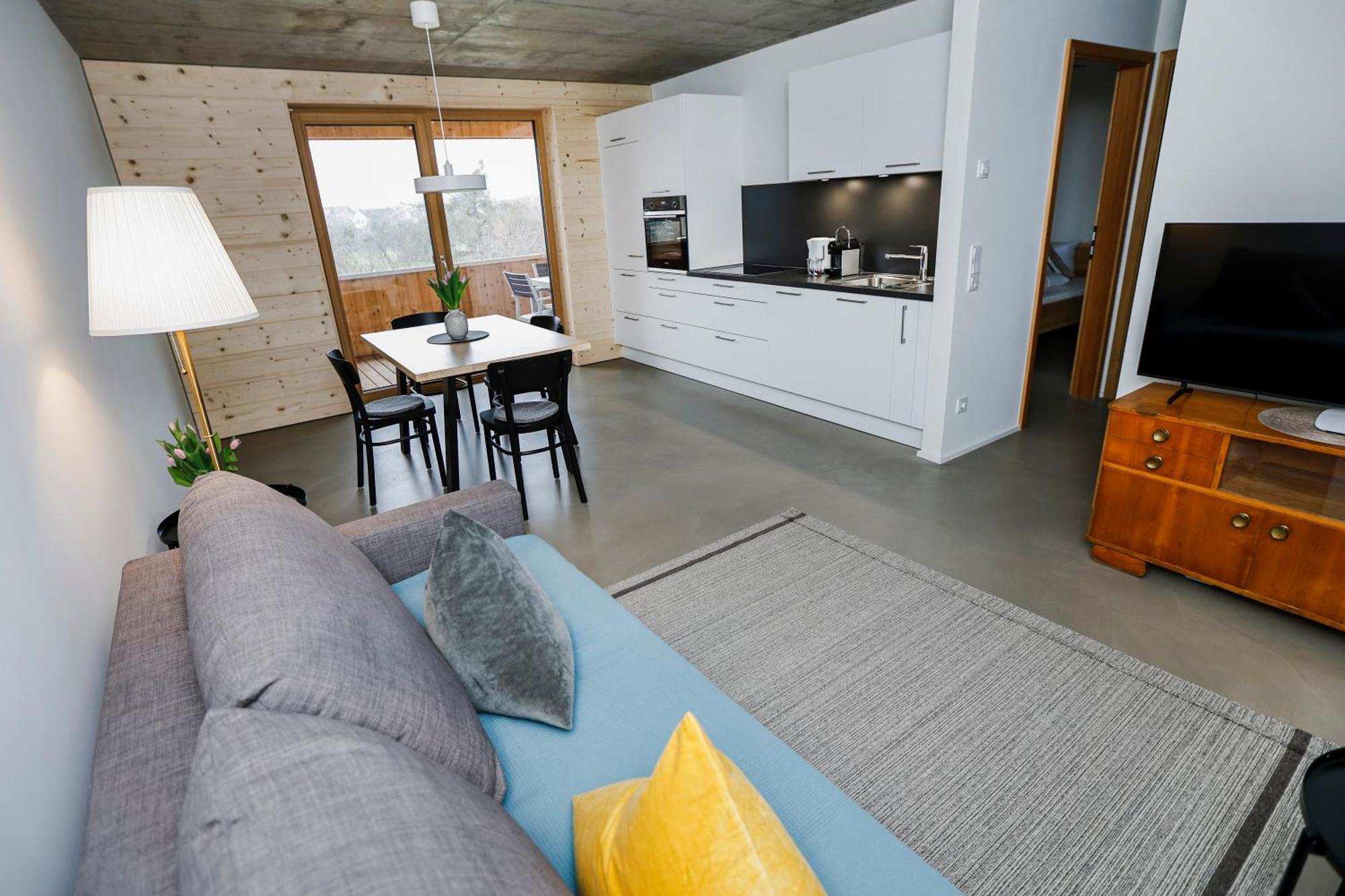 Boutique Apartments Lustenau Nachhaltige Kuehlung Ueber Erdsonde Und Fussbodenkuehlung Phòng bức ảnh