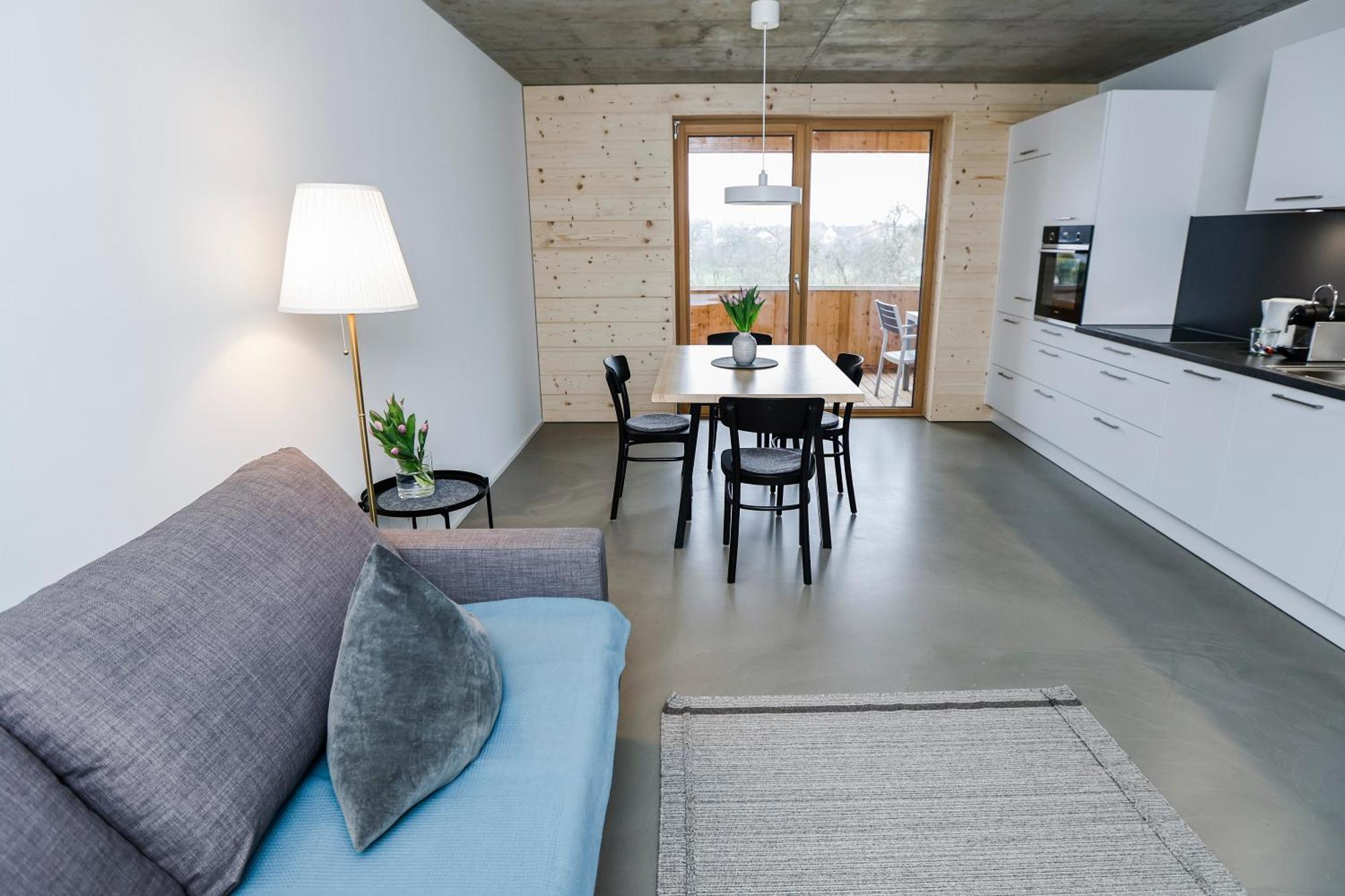 Boutique Apartments Lustenau Nachhaltige Kuehlung Ueber Erdsonde Und Fussbodenkuehlung Phòng bức ảnh